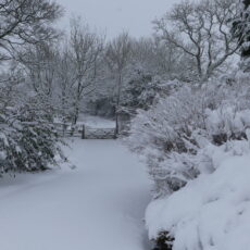 Approach to Pippins in snow