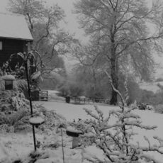 The first snow at Pippins in 2021