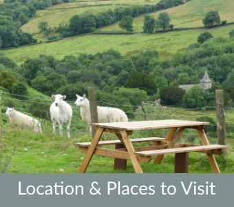 Picnic Bench available for Pippins guests to use, overlooking St Michaels Church sheep looking into the field